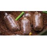 Bolsas PVA Gardner Slo-Mo Heavy Duty Standard 130 × 80 mm (20 unidades)
